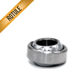 BLACK BEARING B5 rotule - GE8