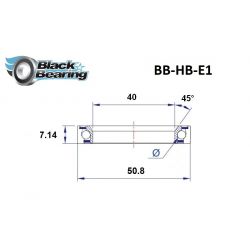 Black Bearing - E1 - Roulement direction Cannondale