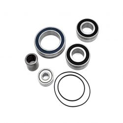 Blackbearing - service kit pour moteur panasonic 36V