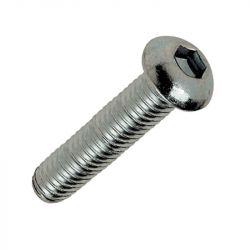 vis inox - BLACKBEARING - m5 x 10 tbhc - Pack of 20 Screws